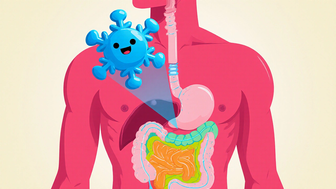 Menthol Benefits for Gut Health: How This Cooling Compound Supports Digestion